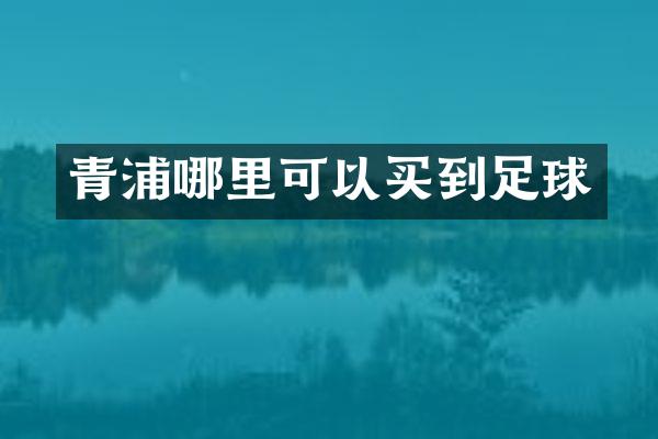 青浦哪里可以买到足球