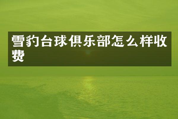 雪豹台球俱乐部怎么样收费