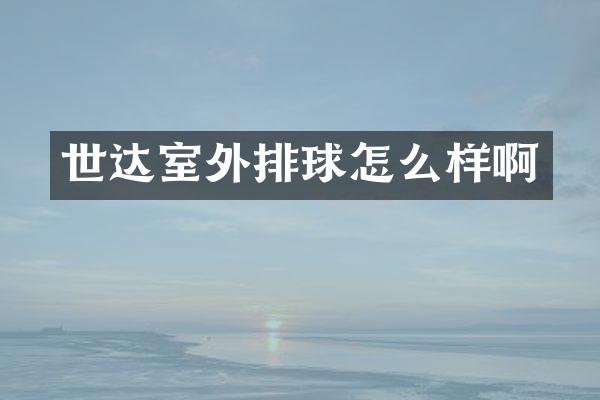 世达室外排球怎么样啊