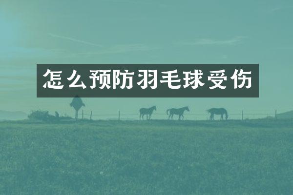 怎么预防羽毛球受伤
