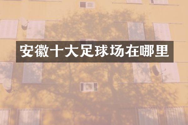 安徽十大足球场在哪里