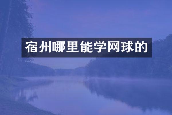 宿州哪里能学网球的