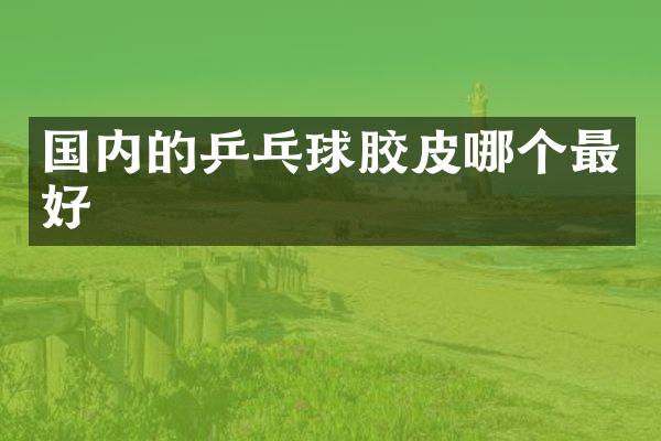 国内的乒乓球胶皮哪个最好