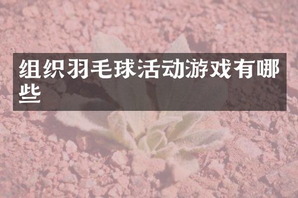 组织羽毛球活动游戏有哪些
