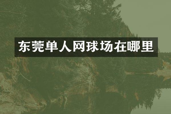 东莞单人网球场在哪里