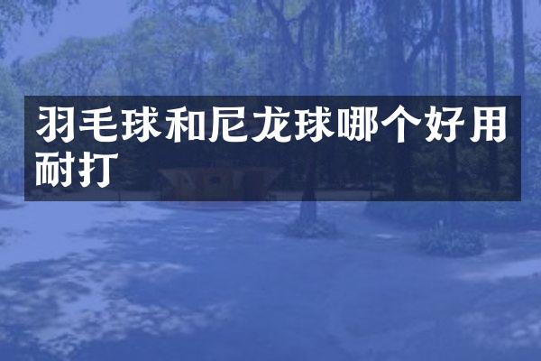羽毛球和尼龙球哪个好用耐打