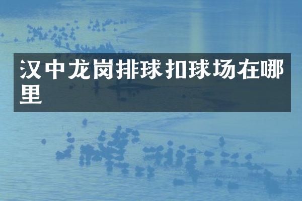汉中龙岗排球扣球场在哪里