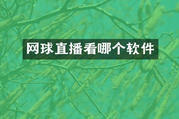 网球直播看哪个软件