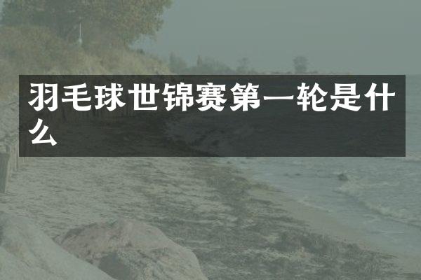羽毛球世锦赛第一轮是什么