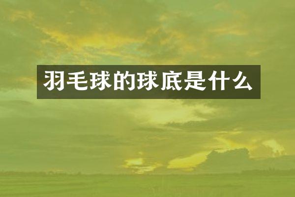 羽毛球的球底是什么