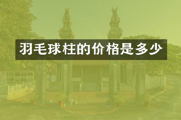 羽毛球柱的价格是多少