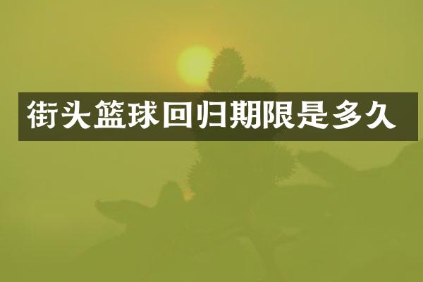 街头篮球回归期限是多久