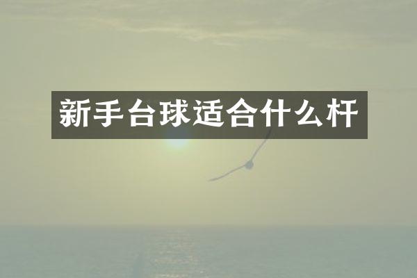 新手台球适合什么杆
