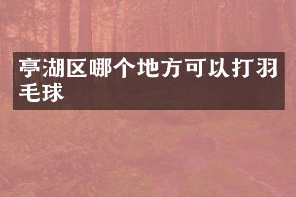 亭湖区哪个地方可以打羽毛球