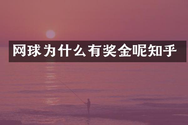 网球为什么有奖金呢知乎