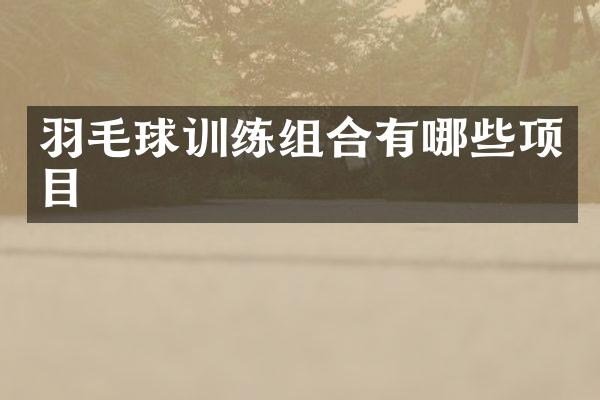 羽毛球训练组合有哪些项目