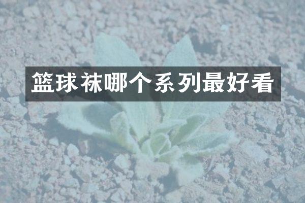 篮球袜哪个系列最好看