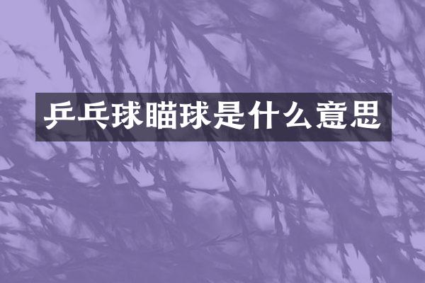 乒乓球瞄球是什么意思