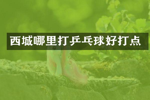 西城哪里打乒乓球好打点