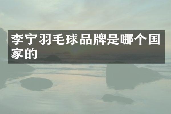 李宁羽毛球品牌是哪个国家的