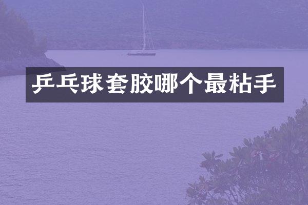乒乓球套胶哪个最粘手