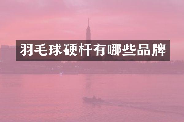 羽毛球硬杆有哪些品牌