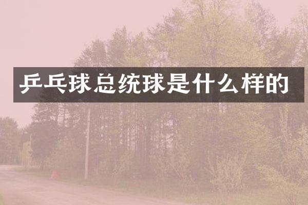 乒乓球总统球是什么样的