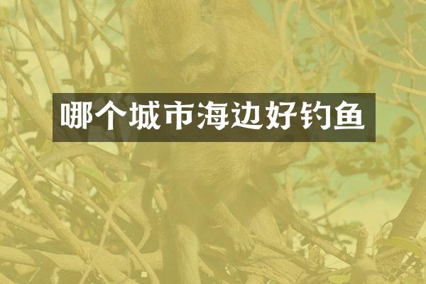 哪个城市海边好钓鱼
