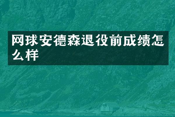 网球安德森退役前成绩怎么样
