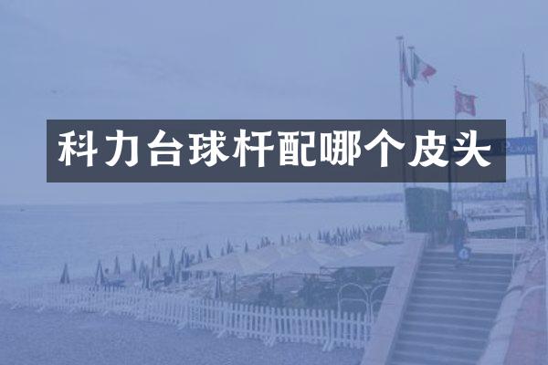 科力台球杆配哪个皮头