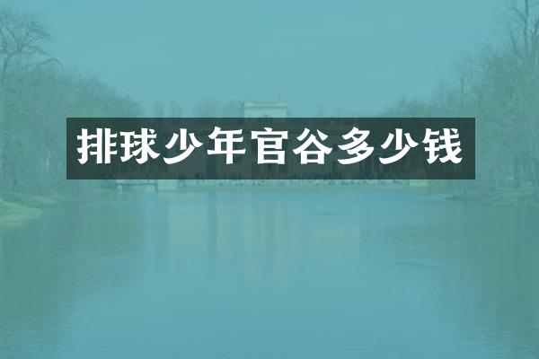 排球少年官谷多少钱