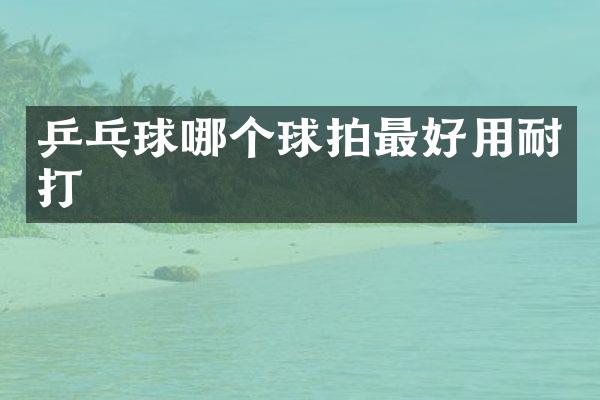 乒乓球哪个球拍最好用耐打