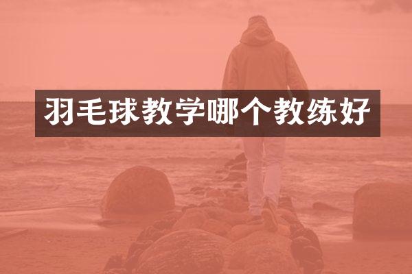 羽毛球教学哪个教练好