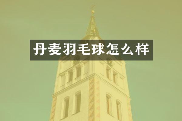丹麦羽毛球怎么样