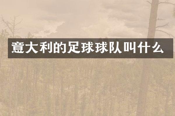 意大利的足球球队叫什么