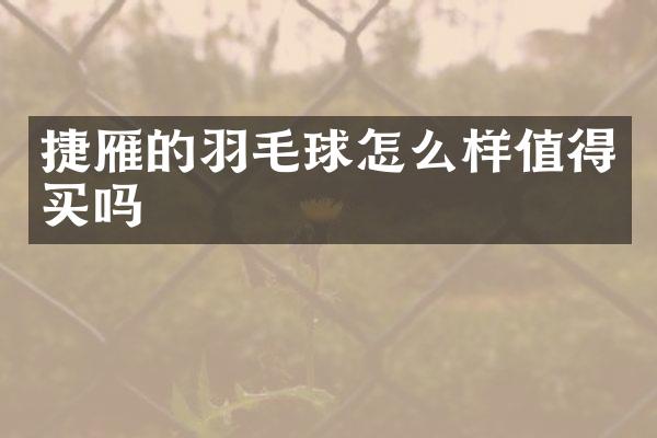 捷雁的羽毛球怎么样值得买吗