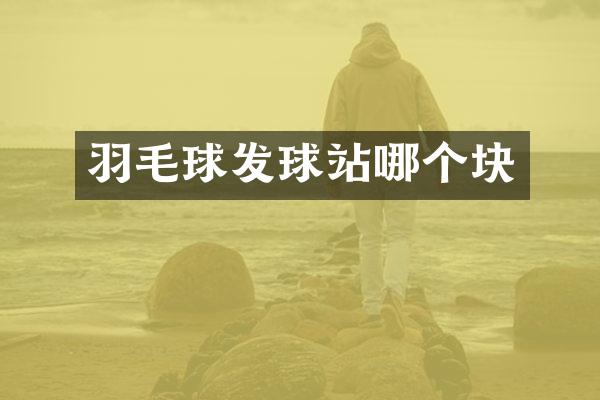 羽毛球发球站哪个块