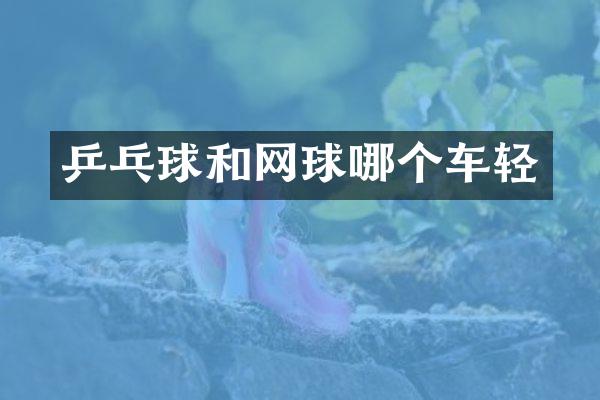 乒乓球和网球哪个车轻