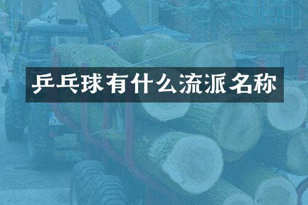 乒乓球有什么流派名称