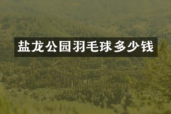 盐龙公园羽毛球多少钱