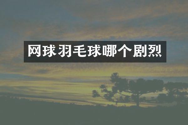 网球羽毛球哪个剧烈