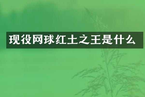 现役网球红土之王是什么