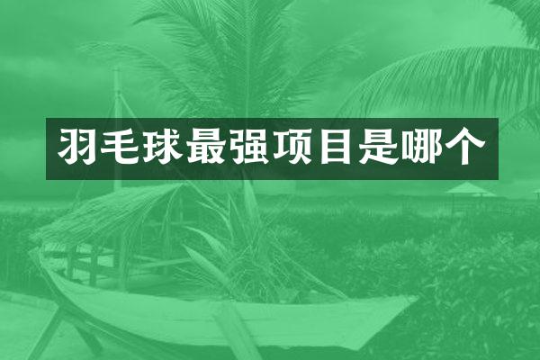 羽毛球最强项目是哪个
