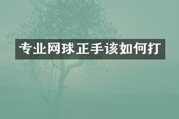 专业网球正手该如何打