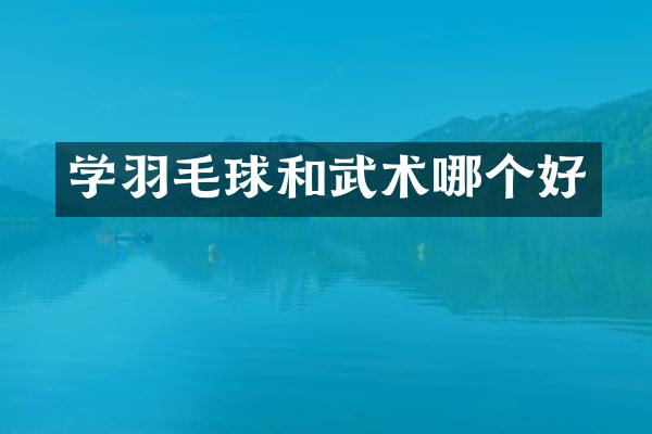 学羽毛球和武术哪个好