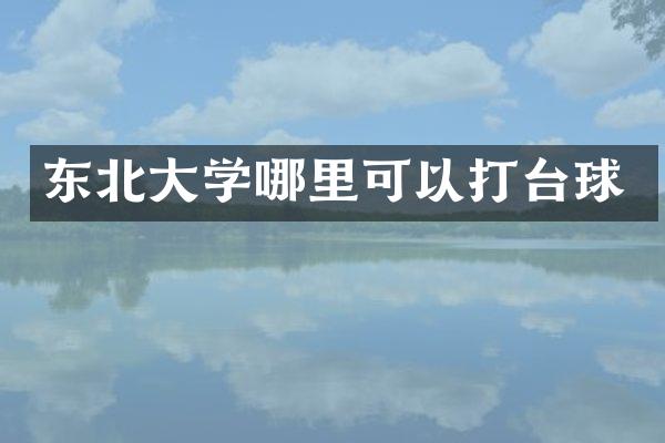 东北大学哪里可以打台球