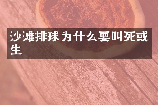 沙滩排球为什么要叫死或生