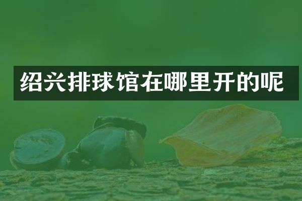 绍兴排球馆在哪里开的呢