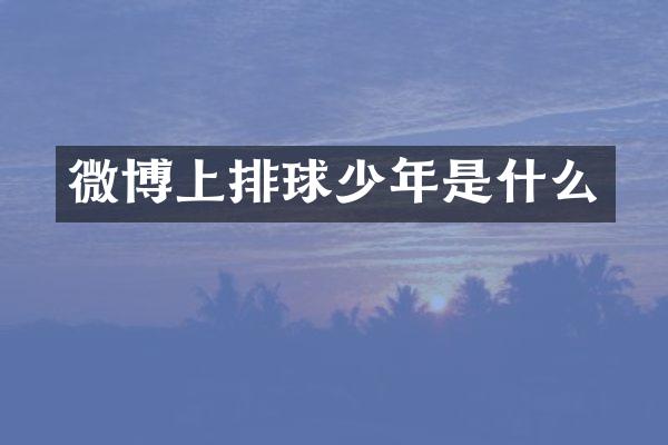 微博上排球少年是什么