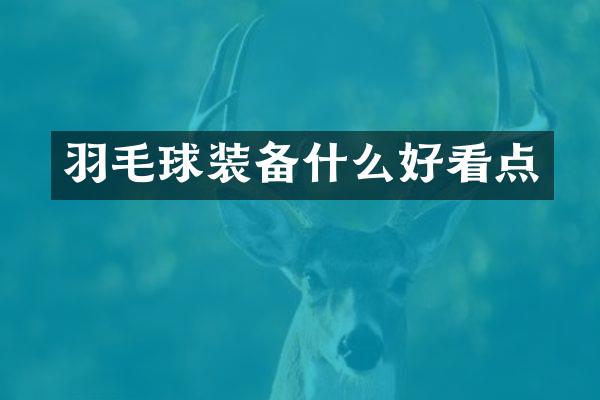 羽毛球装备什么好看点